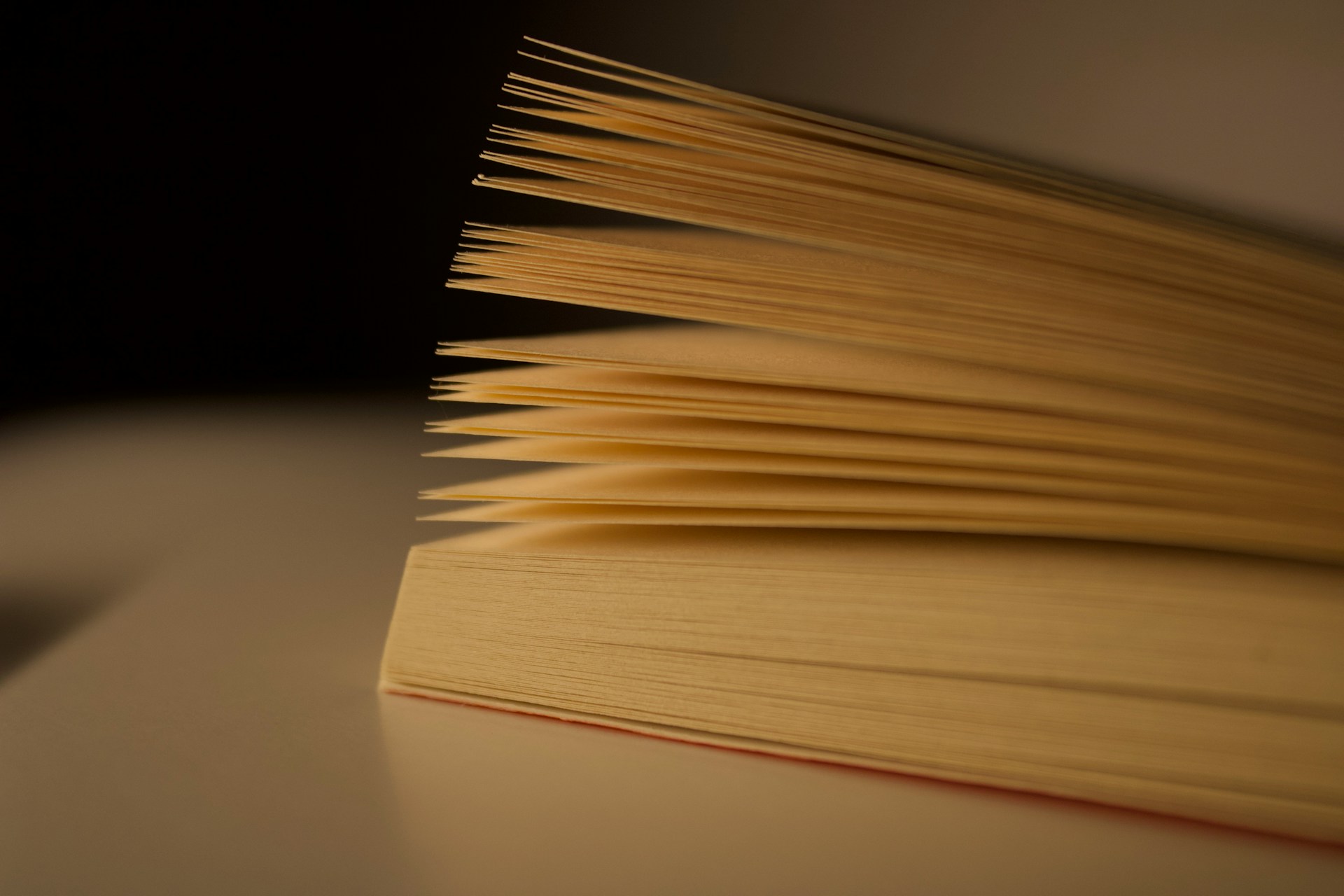 German Language Learning